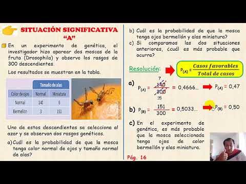 Servicios de Alquiler de Barcos en Premià de Mar