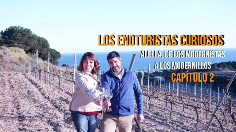 Rutas de Vinos Cerca de Argentona: Mejores Destinos